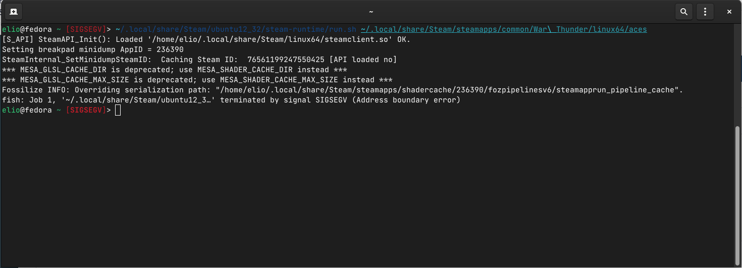 Fatal Error when launching War Thunder in Linux - Crashes, Connection ...